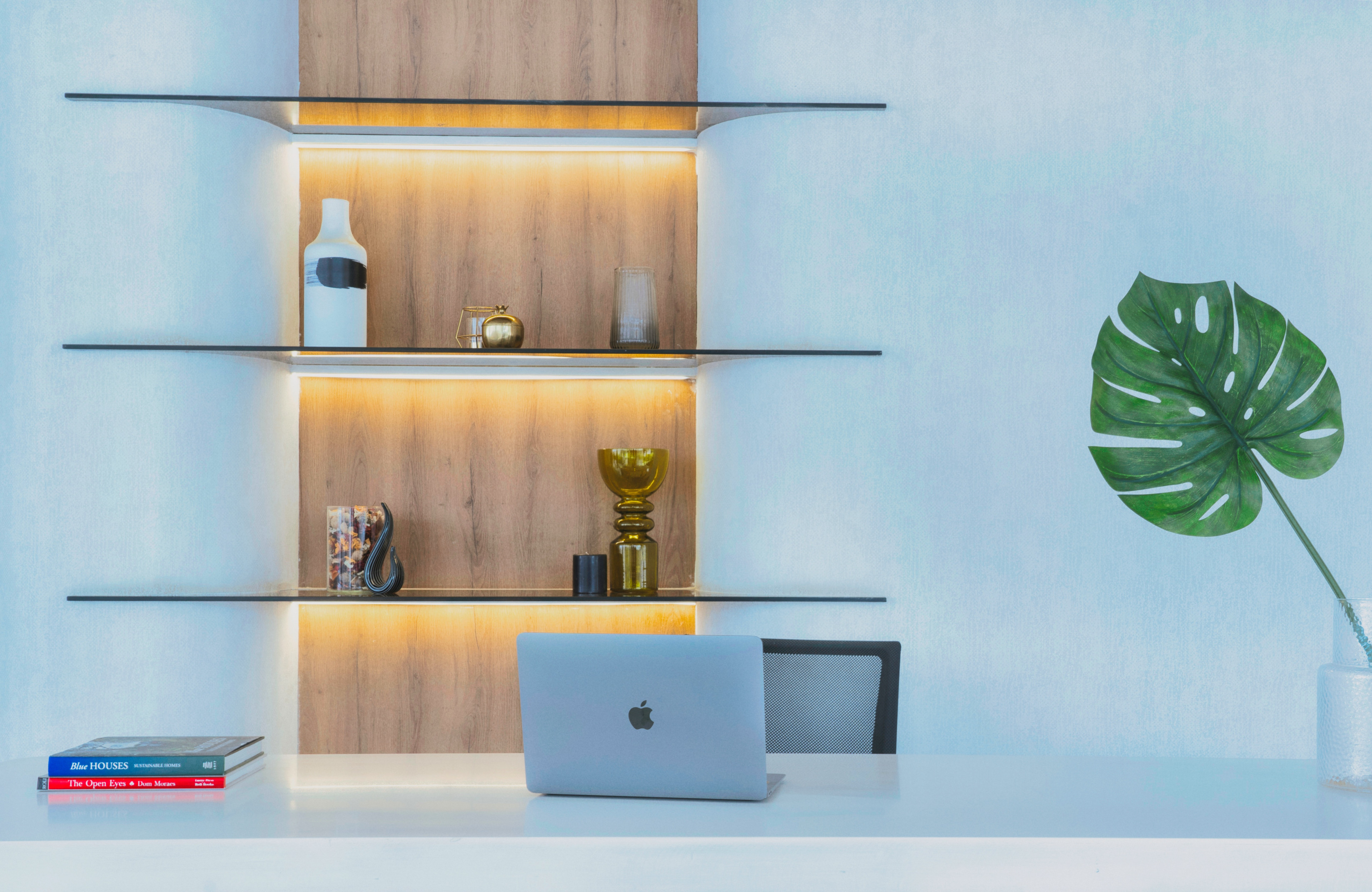 Backlit shelving, composed in detail